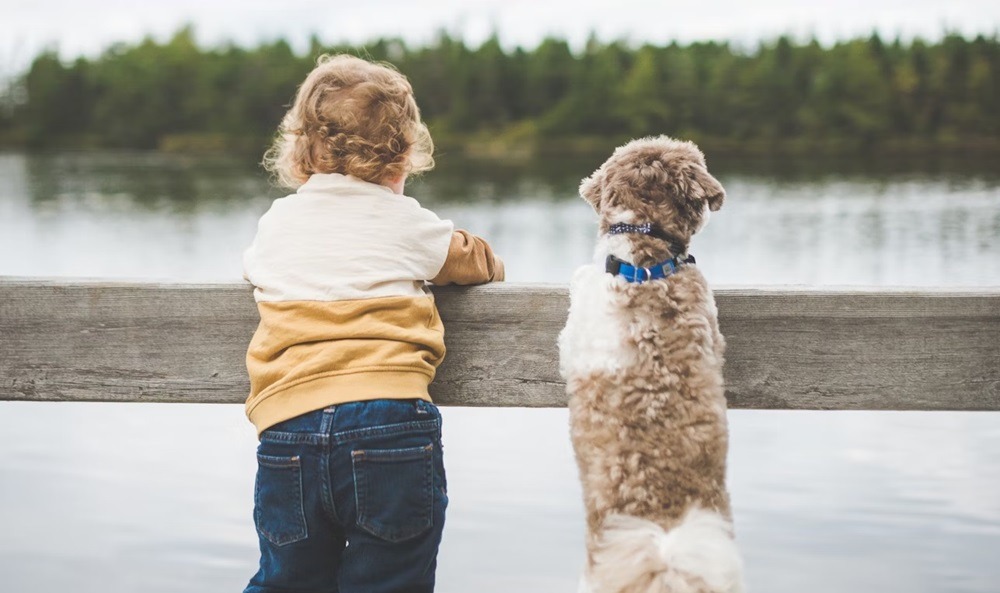 Come Abituare Il Cane Allarrivo Di Tuo Figlio Mamme It